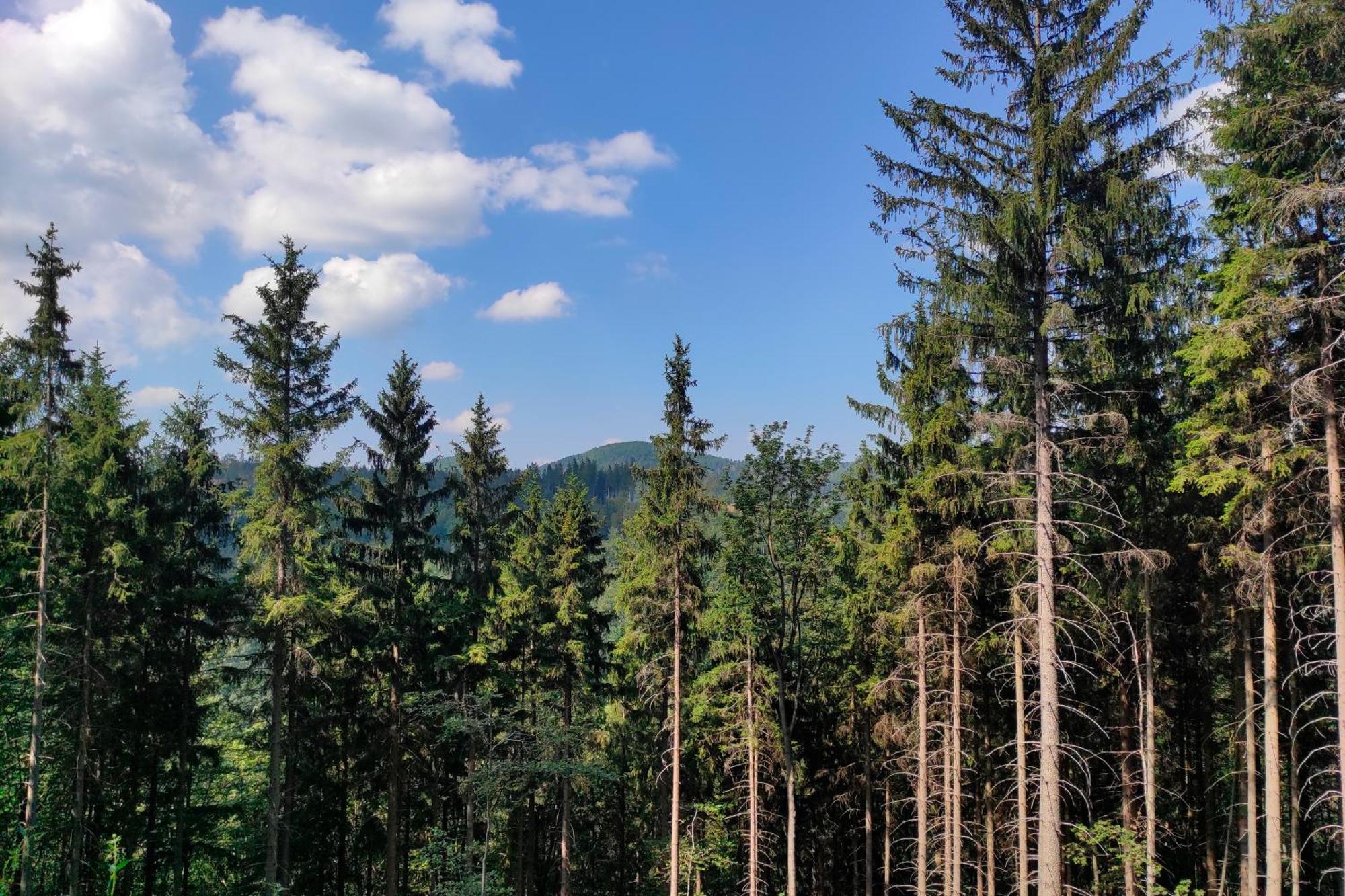 Mia Domo - Wypoczynek W Gorach Suchych, Kamiennych I Sowich Villa Gluszyca Buitenkant foto