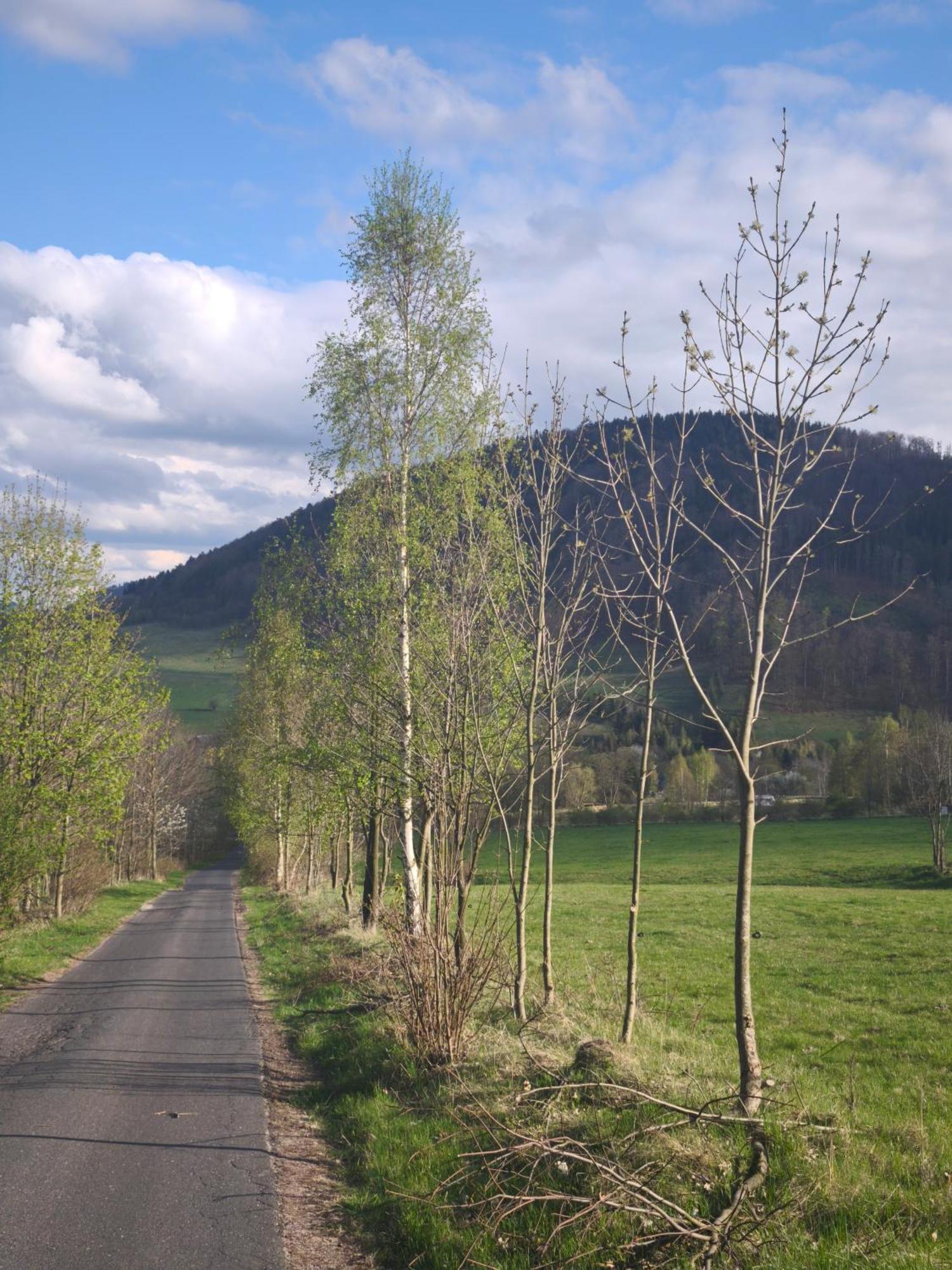 Mia Domo - Wypoczynek W Gorach Suchych, Kamiennych I Sowich Villa Gluszyca Buitenkant foto