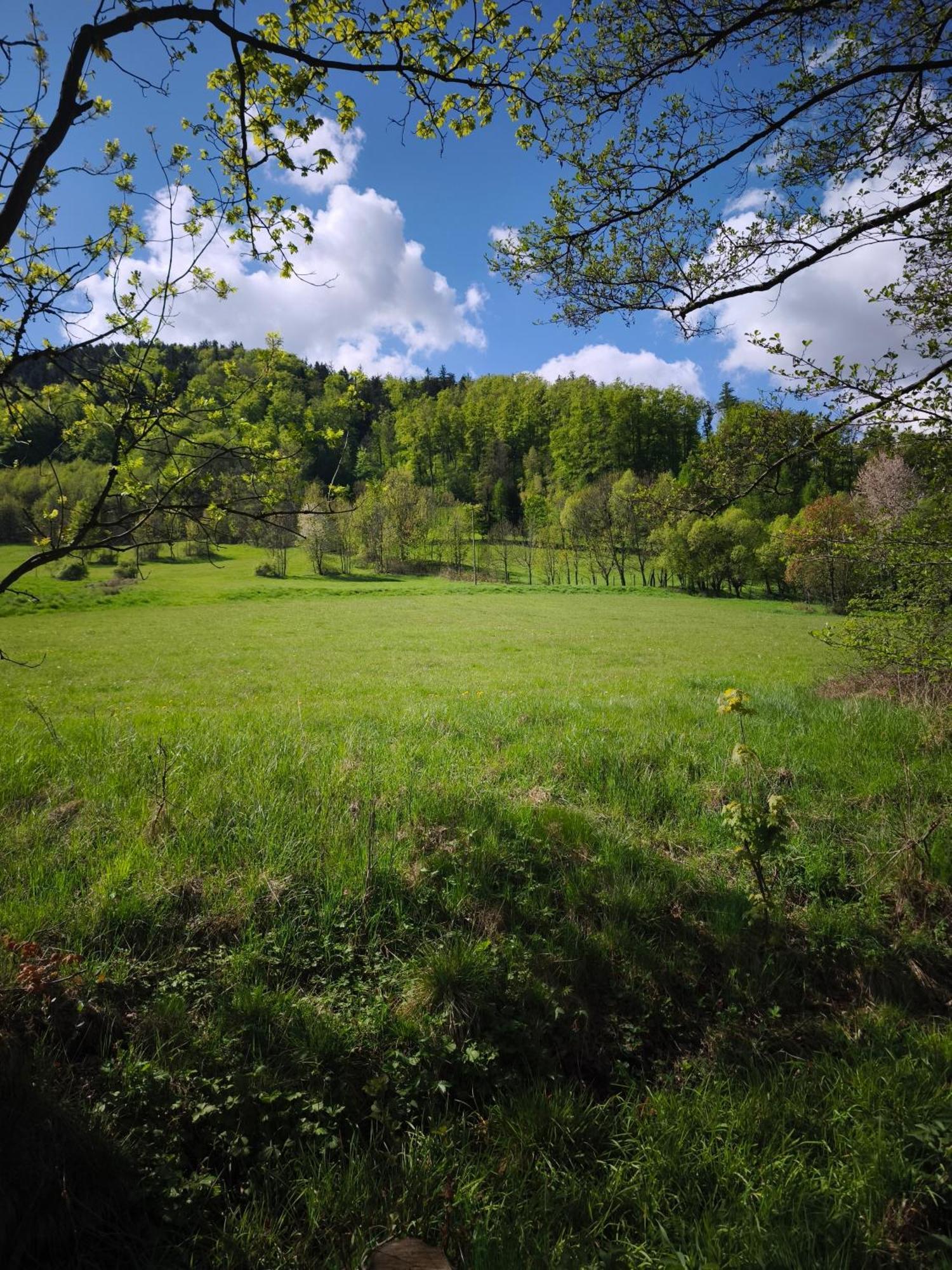 Mia Domo - Wypoczynek W Gorach Suchych, Kamiennych I Sowich Villa Gluszyca Buitenkant foto